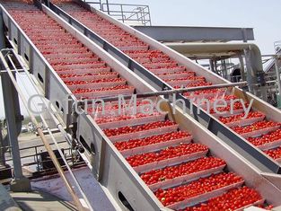 Linha de processamento vegetal segurança da solução do Turnkey para o uso industrial