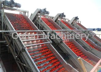 Linha de processamento vegetal industrial linha de processamento água da pasta de tomate que salvar a operação fácil