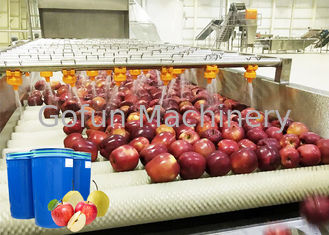 Ss 304 Linha de Processamento de Maçã / Máquina de Fazer Geléia de Fruta Higienização de Alto Nível