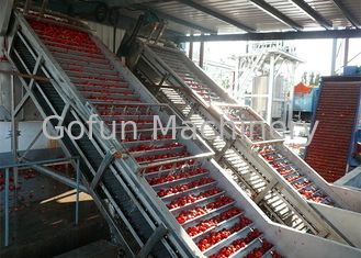 Máquina da produção do equipamento/suco de processamento da baga do mirtilo da morango