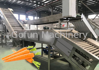 Do equipamento de processamento vegetal da cenoura do projeto modular tensão 220V/380V