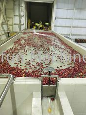 Economização de água Economização de energia Projeto chave na mão Linha de produção de molho de maçã concentrado